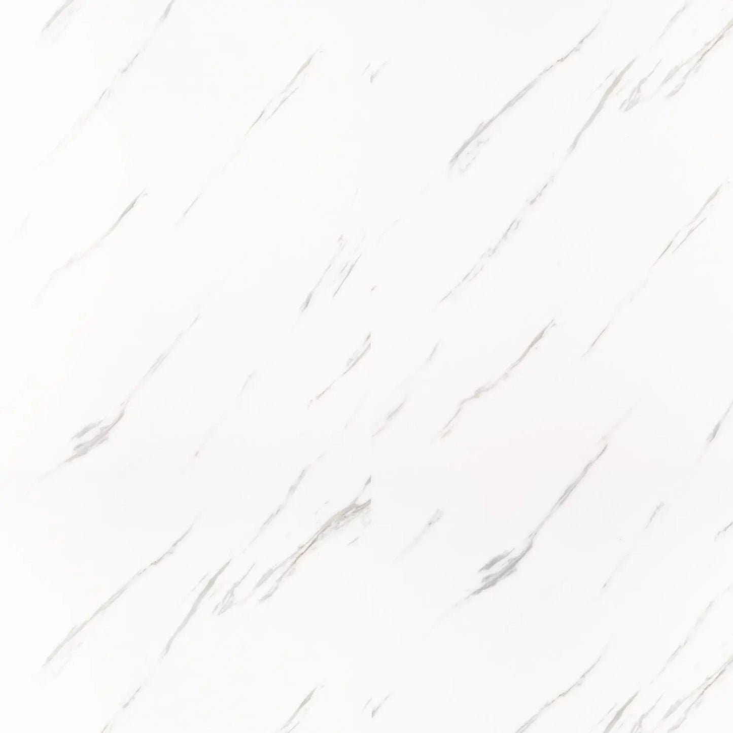 Carerra gloss 7.5mm