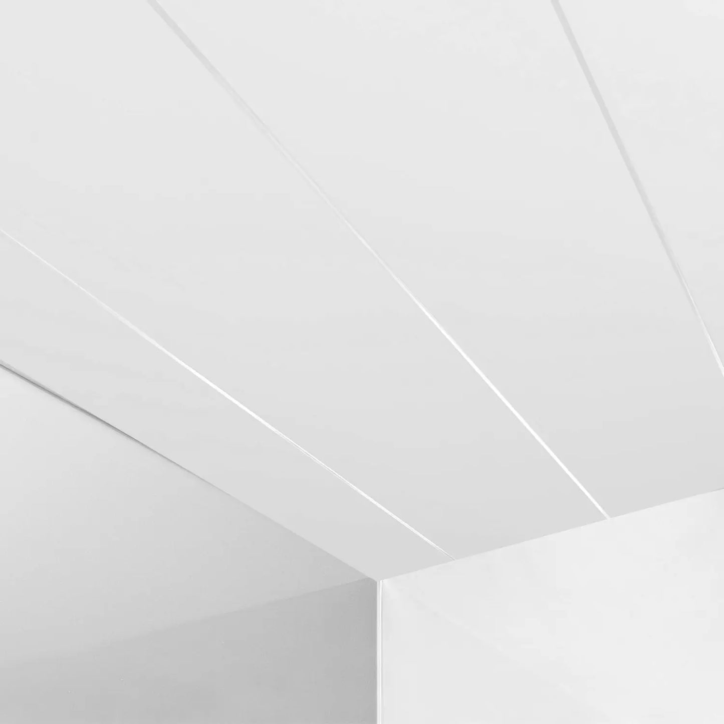 Ceiling panels white silver edge 5mm